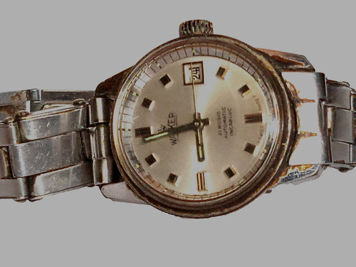 Walker lady swiss - walker,