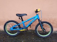 Bici Bambino MTB Haibike