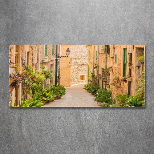 Quadro tulup stampa - tulup, vetro