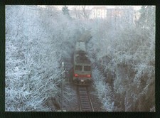 BRA (Cuneo) - 1989  TRENO -