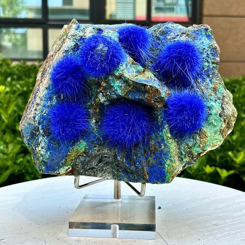 79lb blue natural - blue,