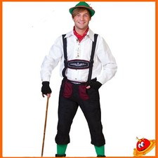 Costume Carnevale Festa della