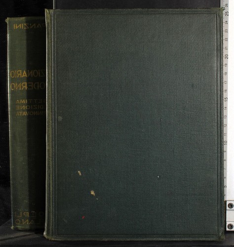 Dizionario moderno alfredo - dizionario, moderno.