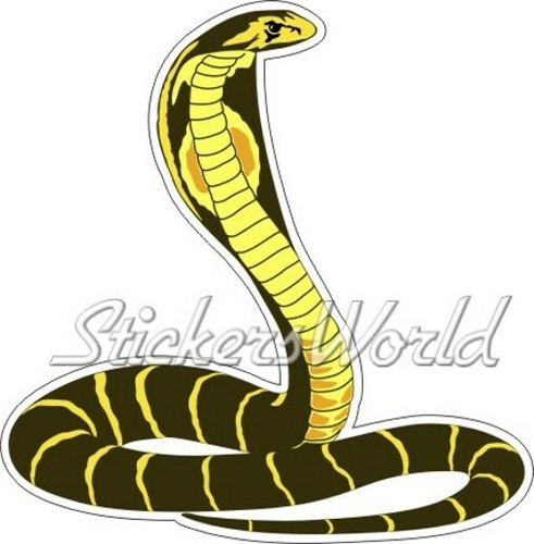 Cobra serpente - serpente,
