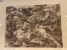 FOISO FOIS  ACQUAFORTE “ MACCHIA MEDITERRANEA “ MISURE 30 X 40 DEL 1977 CVCAM