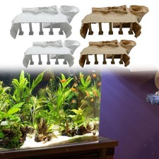 Acquario sotterraneo Colonna