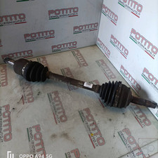 7739015 semialbero ant compl - semialbero,