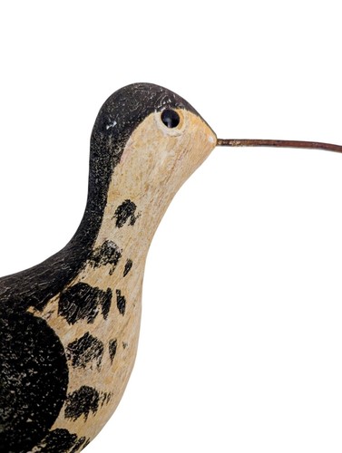 Richard morgan long - morgan, long-billed