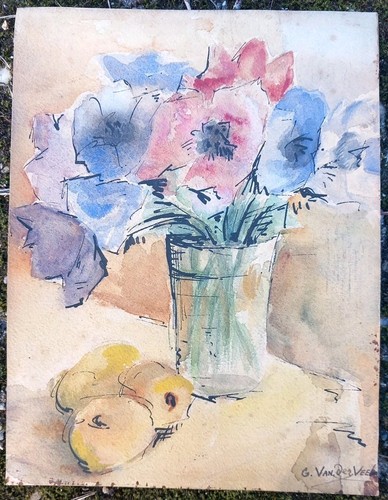 Van der veek - der, nature