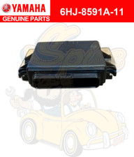 Centralina motore fuoribordo