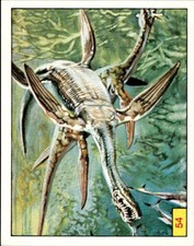 Figurine Animali Preistorici