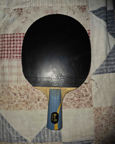 Racchetta ping pong dhs - racchetta,