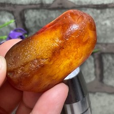  Bonsai naturale Suiseki Gobi