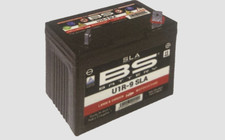 batteria trattorino tosaprato