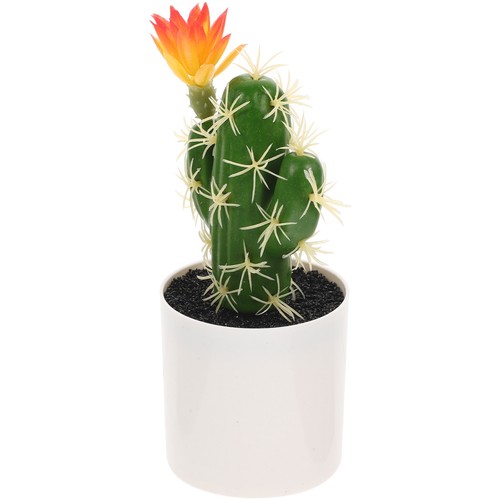 Piantina cactus finta - finta, finto