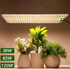 Lampada LED per piante con UV