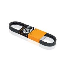 Cinghia trapezoidale