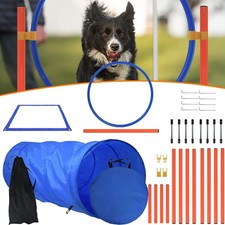 Agility Dog Training Set