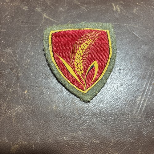 Divisione fanteria patch - fanteria,