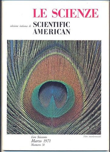 Rivista scienze 31 - le,
