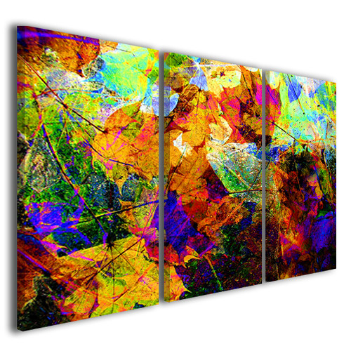Stampe tela canvas - stampe,