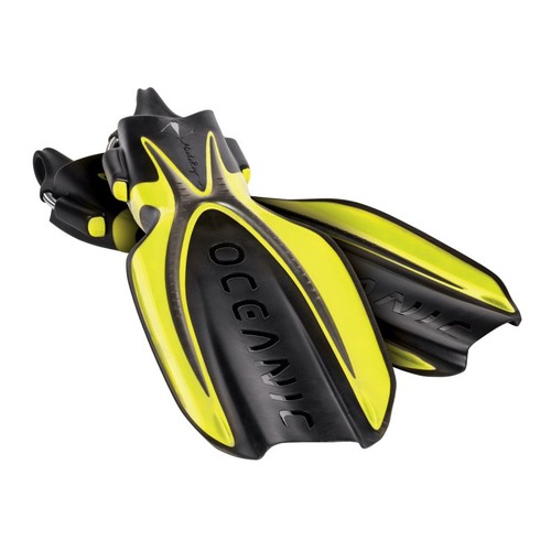 Duwt oceanic manta ray - manta,