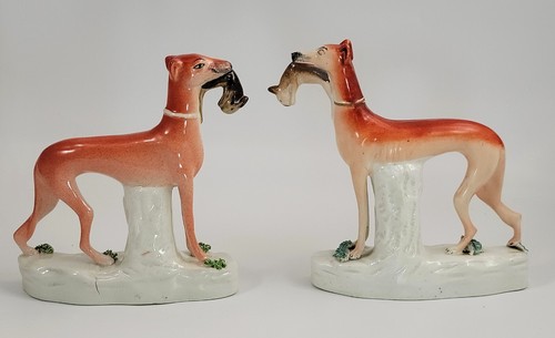Rara coppia cani caccia - da,