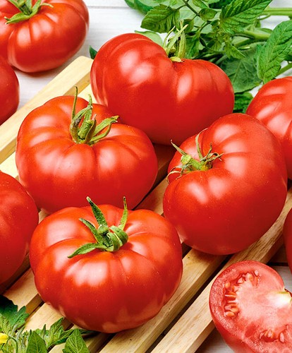 Pomodoro patata lampone