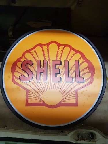 Shell insegna può - shell, si