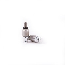 Ds97 0407g coppia sfiati - coppia,