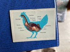 EDITRICE MODERNA VITA E COLORE