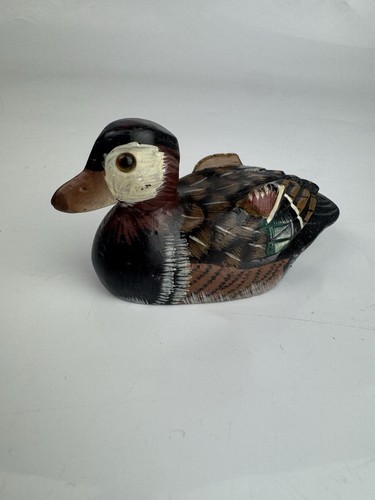 Hand painted stone duck - hand,
