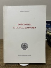 Borgosesia e la sua economia -
