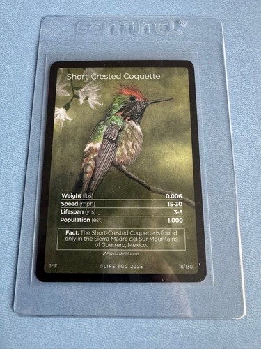 Life tcg birds - life, arts)