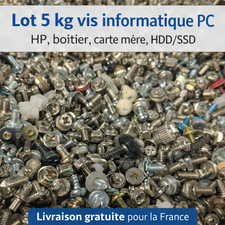 Lotto 5 kg viti per computer