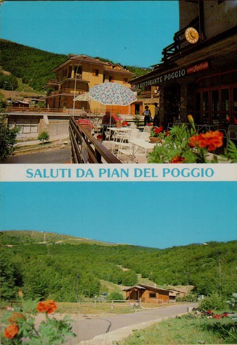 301661 cartolina saluti da - saluti,