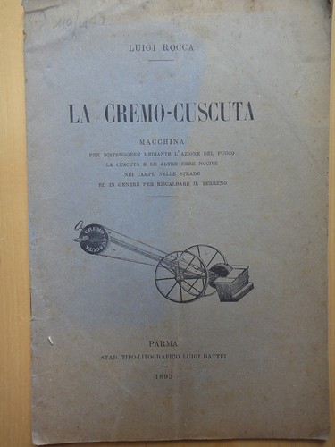 1893 cremo cuscuta - 1893-la, cremo/cuscuta-luigi
