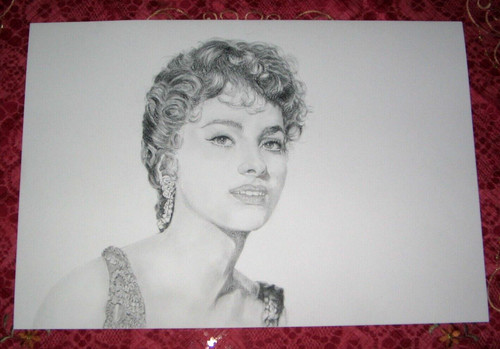 Disegno matita carboncino - disegno,
