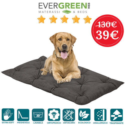 Evergreenweb cuccia letto - cuccia,