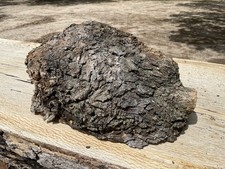 Pezzo di legno grezzo Post