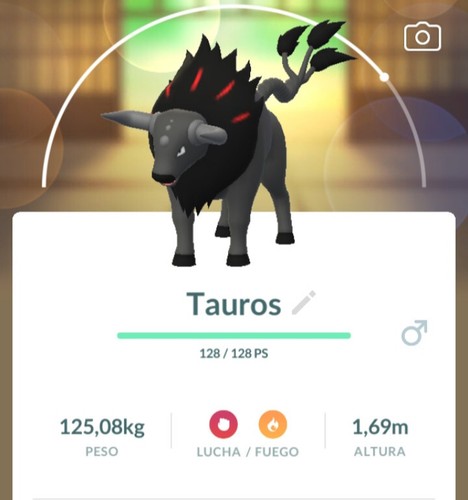 Pokemon tauros paldea - pokemon,
