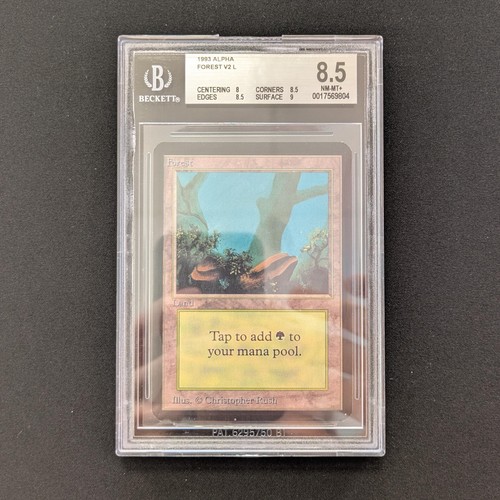 Mtg foresta bgs - foresta, (v.2)