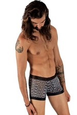 Gregg Homme  Second Skin Boxer