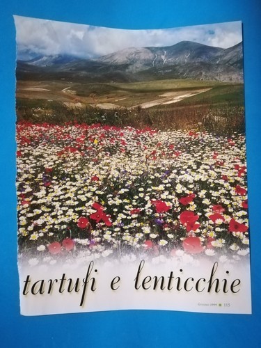 Clipping ritaglio giornale - di,