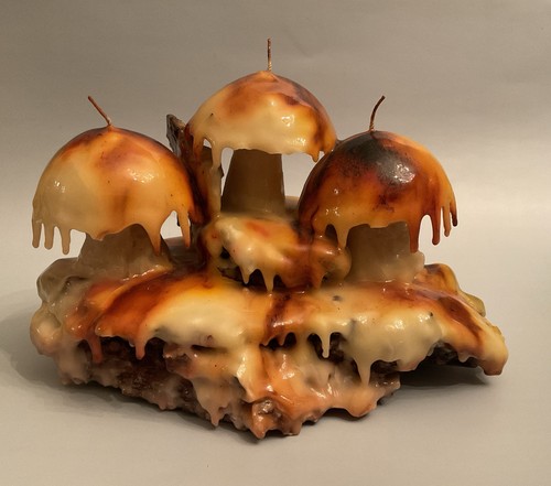 Candela scultura fungo cera