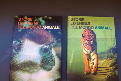 Storie enigmi del mondo - enigmi,