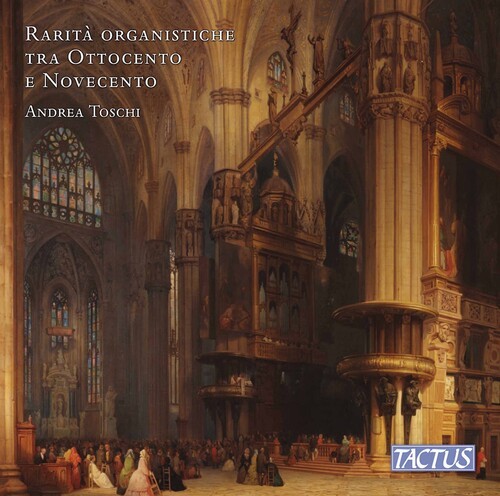 Various artists rare 19th - various,