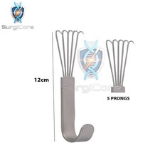 Ritrattori Artiglio Orso