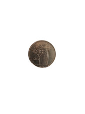 Moneta 100 lire - moneta,