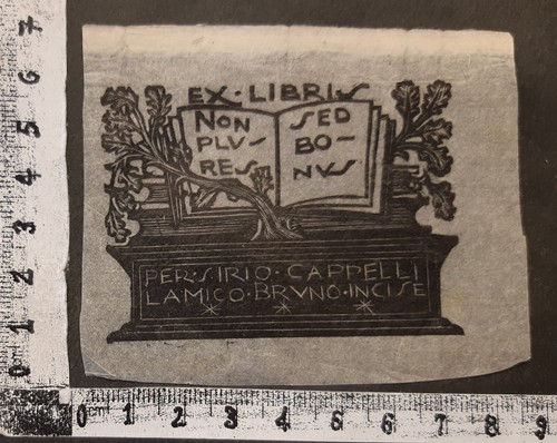 Wunderkammer exlibris 776 - wunderkammer,